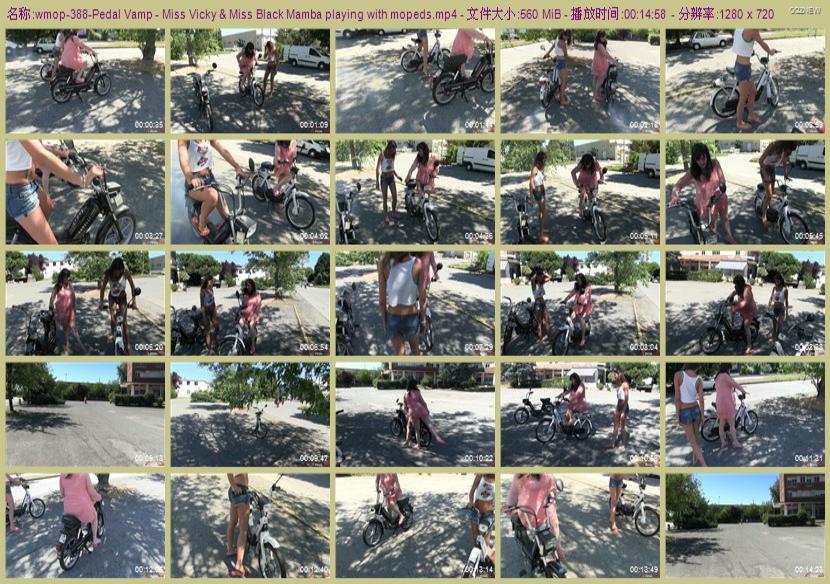 wmop-388_Pedal
